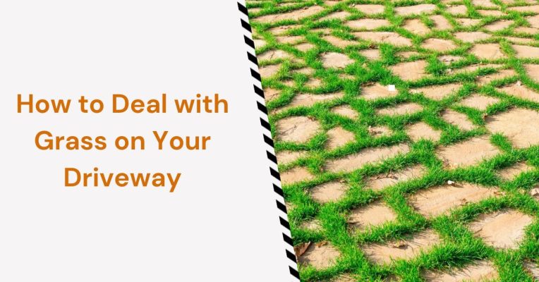 How to Deal with Grass on Your Driveway