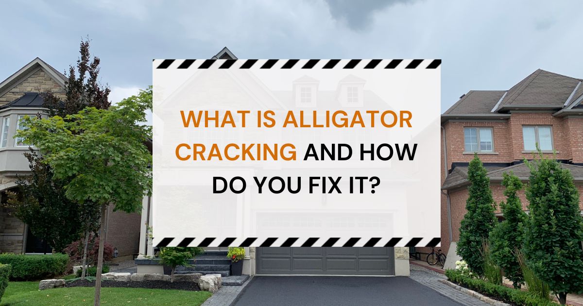alligator cracking