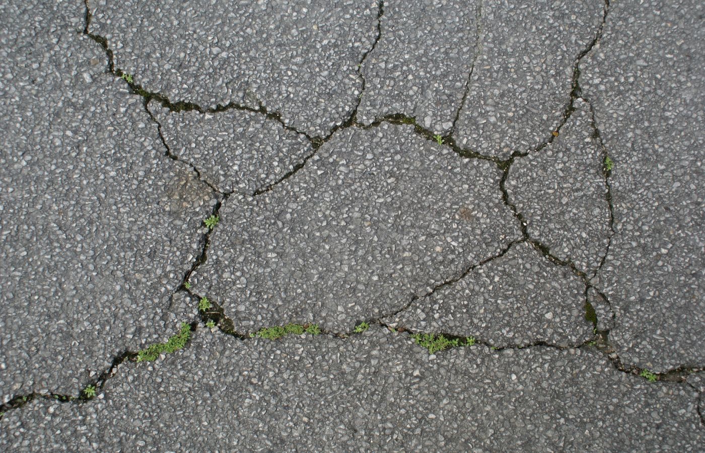 alligator cracking asphalt sealing