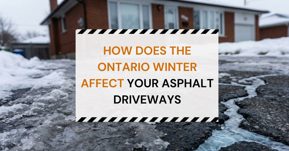 Ontario winter asphalt damage on a snow-covered residential driveway.