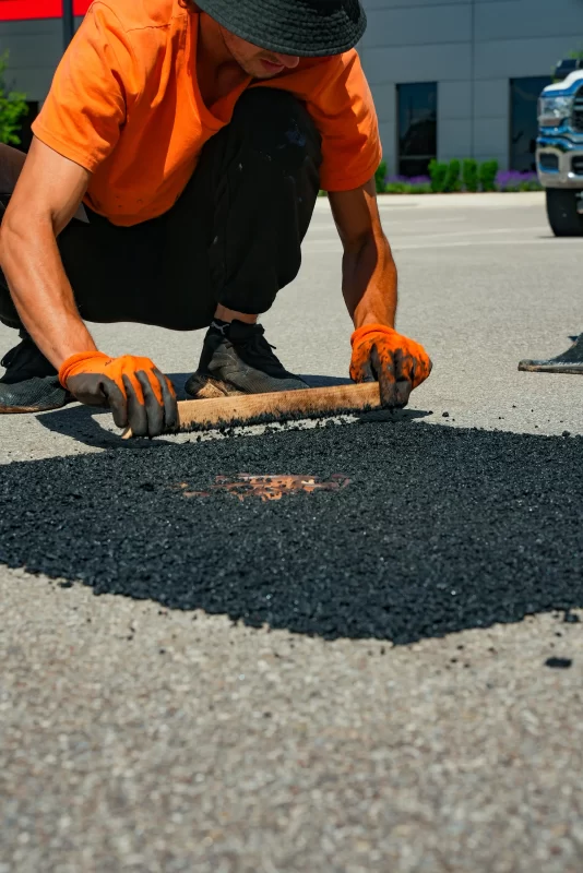 mantis office complete lot rehabilitation