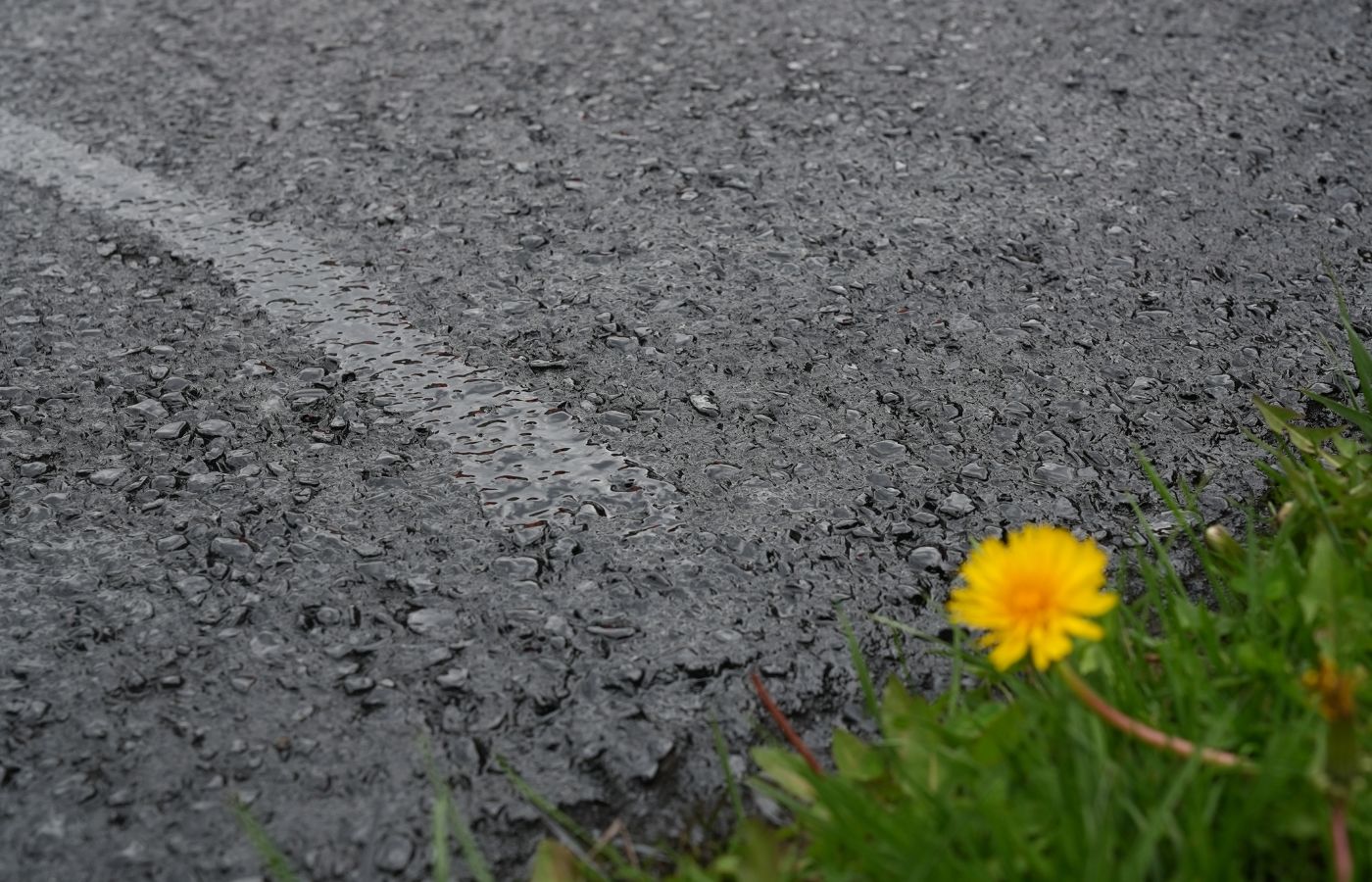oil based asphalt sealer application